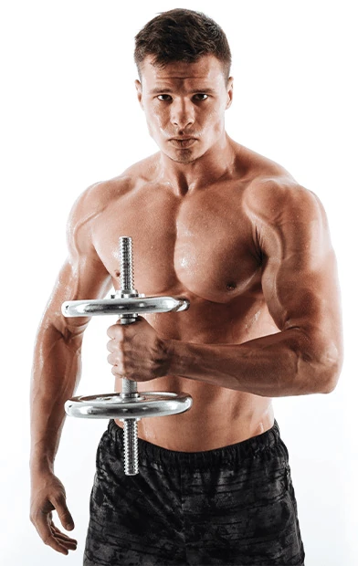 Bulk Extreme: supporto completo per forza e prestazioni