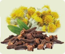 Hepure™: ingrediente per il supporto epatico e metabolismo dei lipidi in Lipid Control Plus