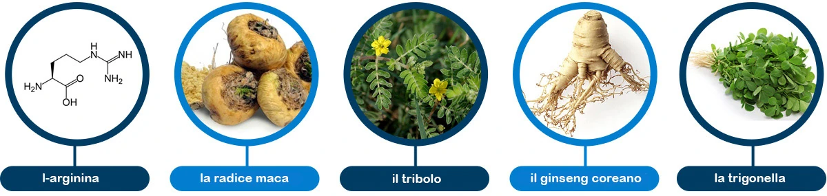 Ingredienti naturali di Eron Plus per una potenza comprovata