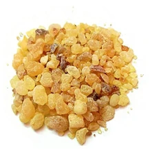 Immagine di Boswellia Serrata, ingrediente attivo di Hondro Sol per infiammazioni e dolori articolari